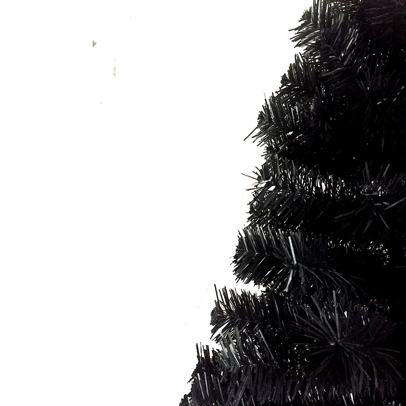 21201168