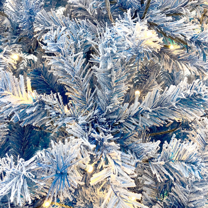 21201318