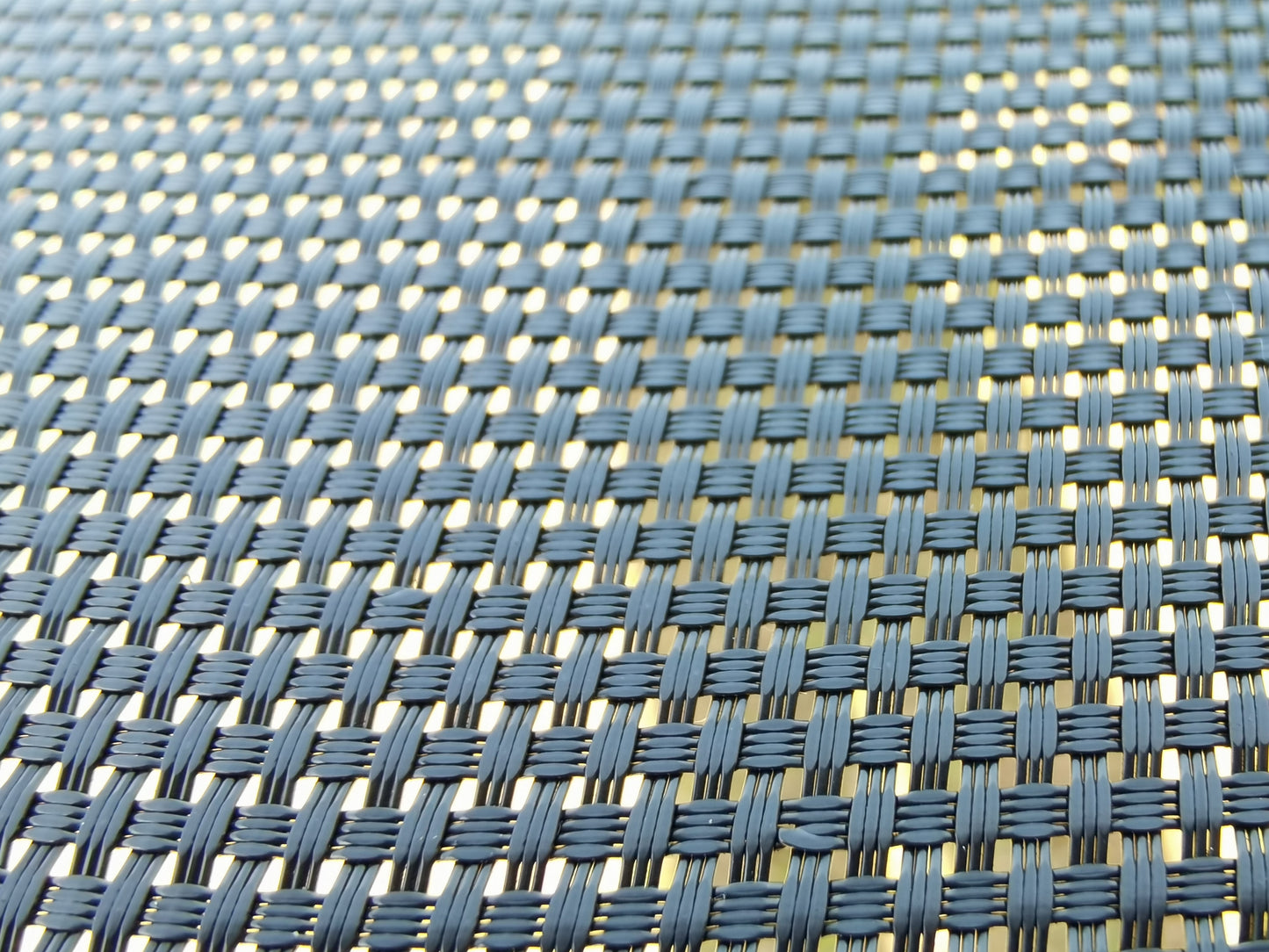 21100956
