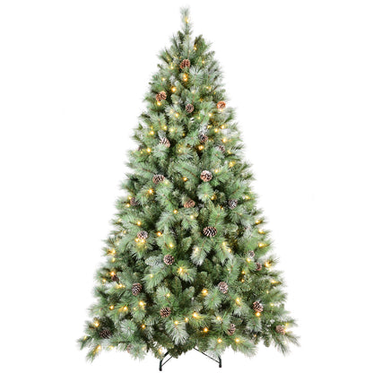 21201854