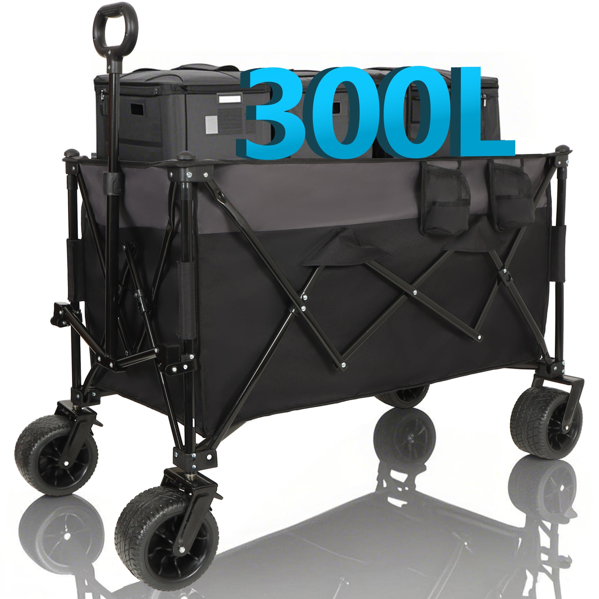 20890248