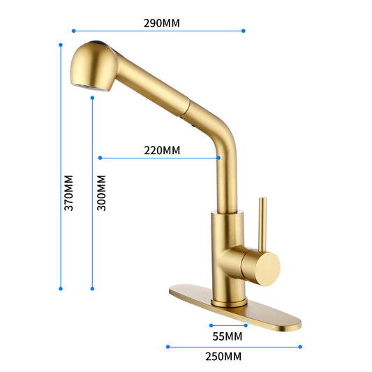 Grifos para fregadero de uso general, grifo de lavandería extraíble monomando con función de pulverización doble en acero inoxidable resistente a las manchas, dorado