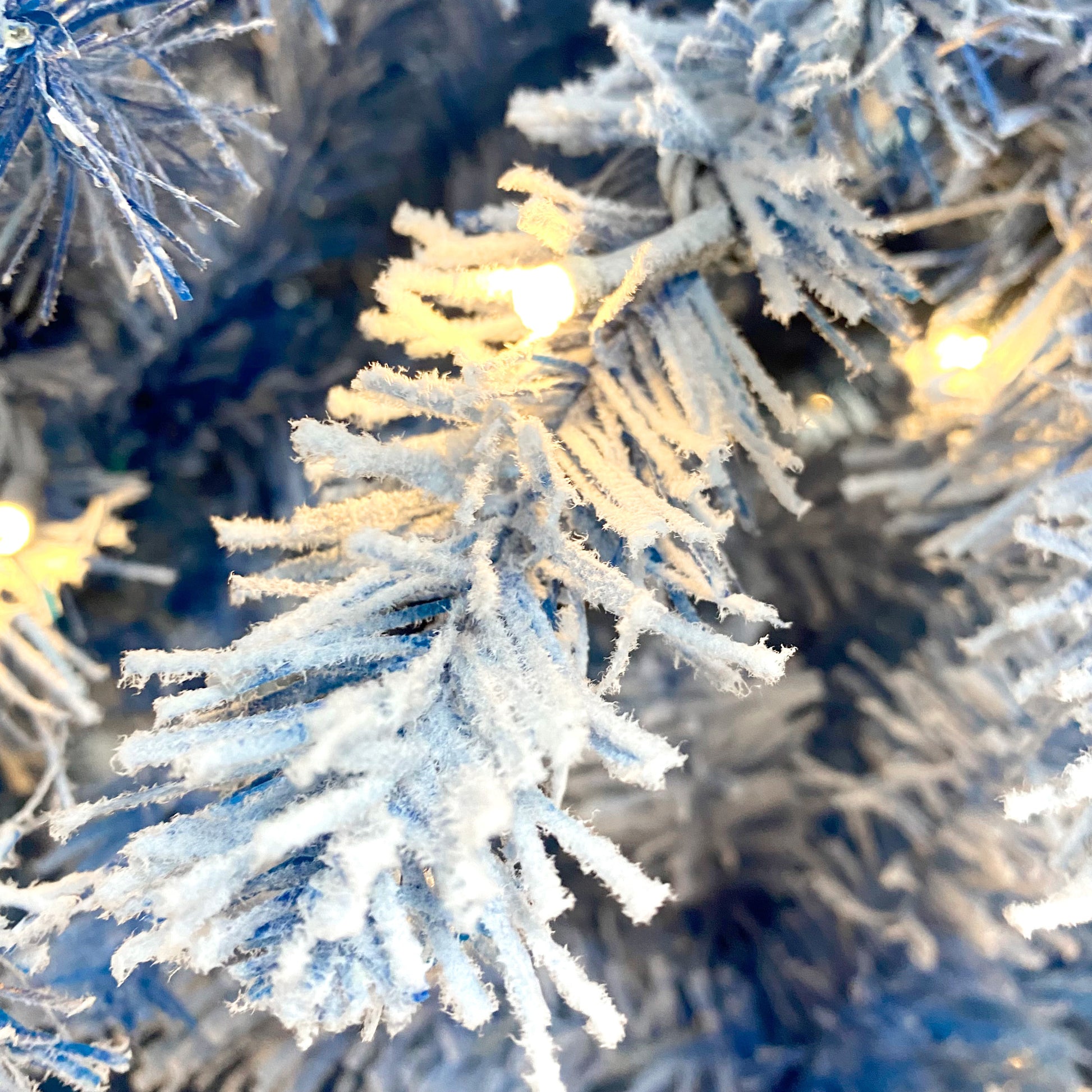 21201317